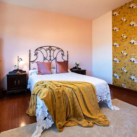 Luxury Singular Rosa Padrón