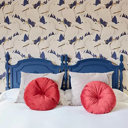 Luxury Singular Rosa