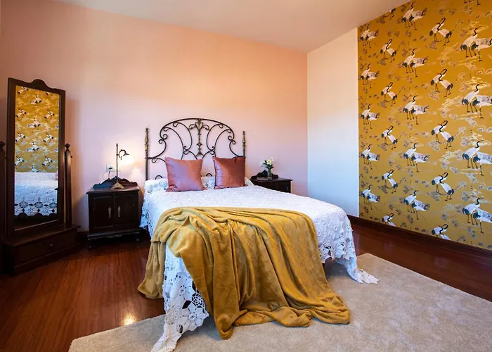 Luxury Singular Rosa Padrón