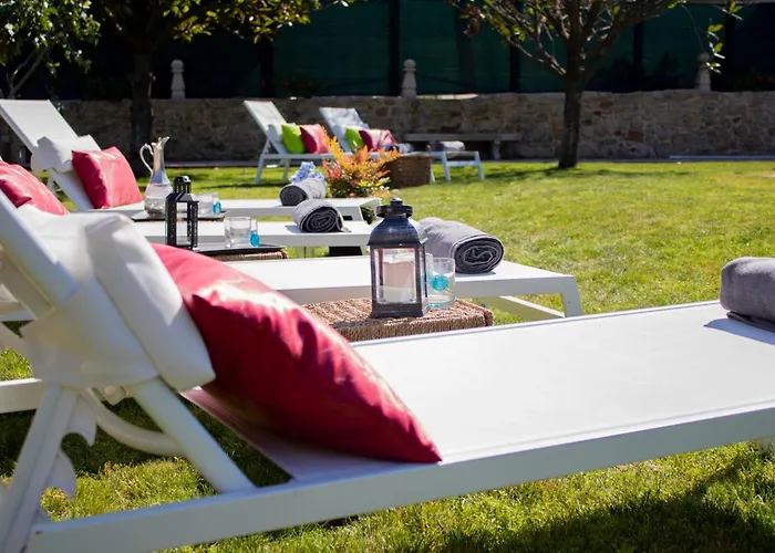 Luxury Singular Rosa Padrón